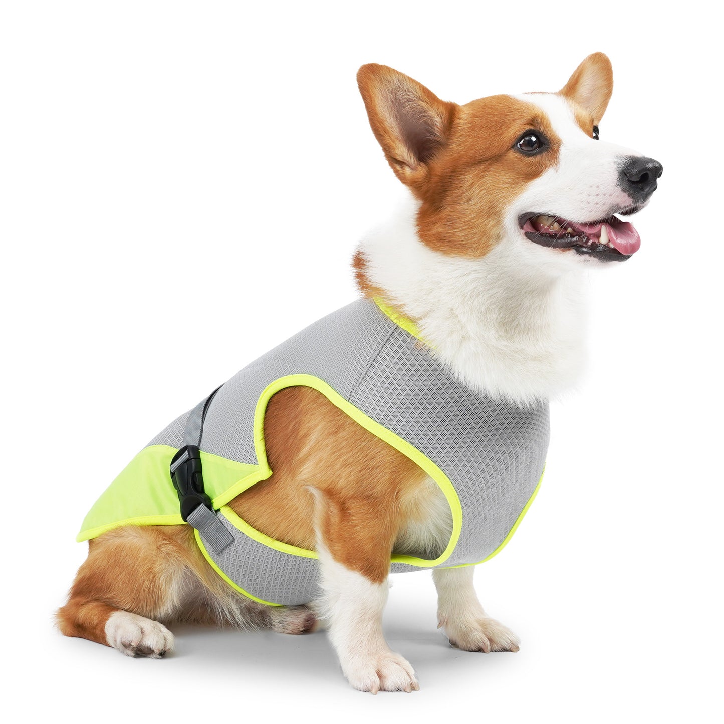 Breathable adjustable dog cooling vest lightweight with reflective strips for summer