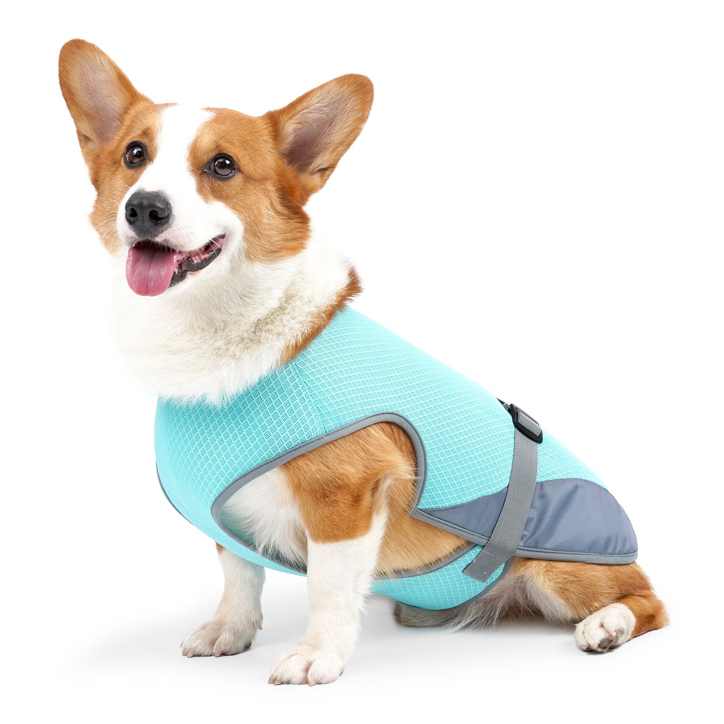 Breathable adjustable dog cooling vest lightweight with reflective strips for summer